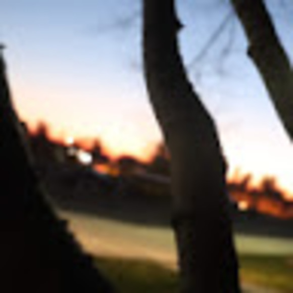 Meet your Posher, Mikaela - Picture 1 of 1